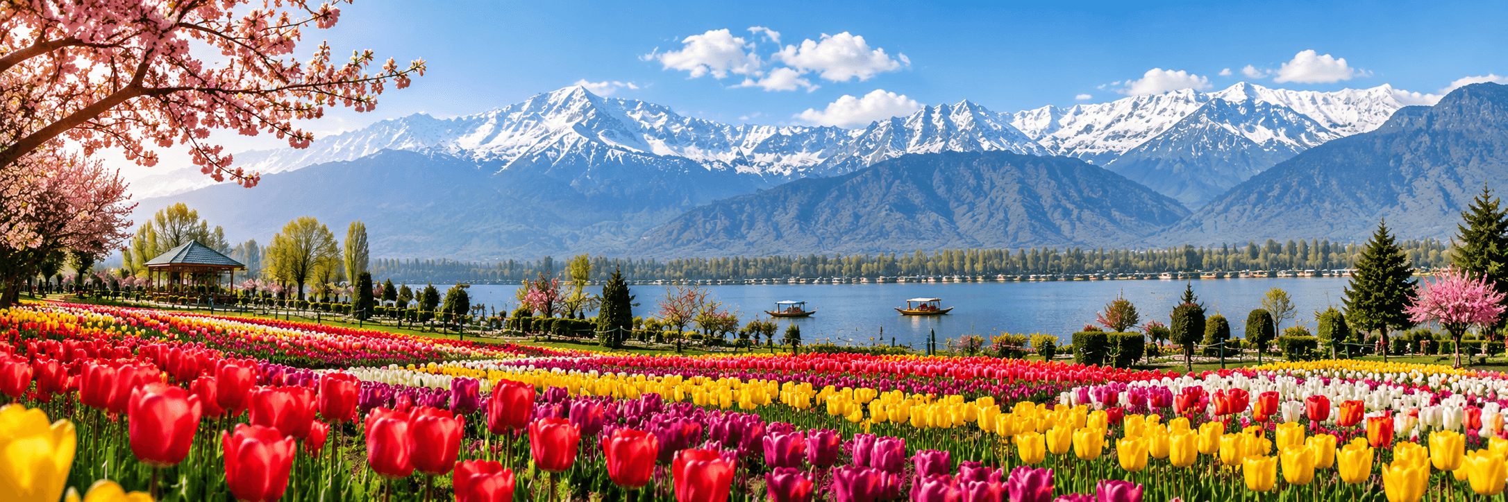 Kashmir Tulip Festival 2027 at Tulip Garden Srinagar