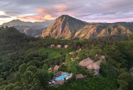 Sri Lanka Honeymoon — Hills, Tea and the Coast