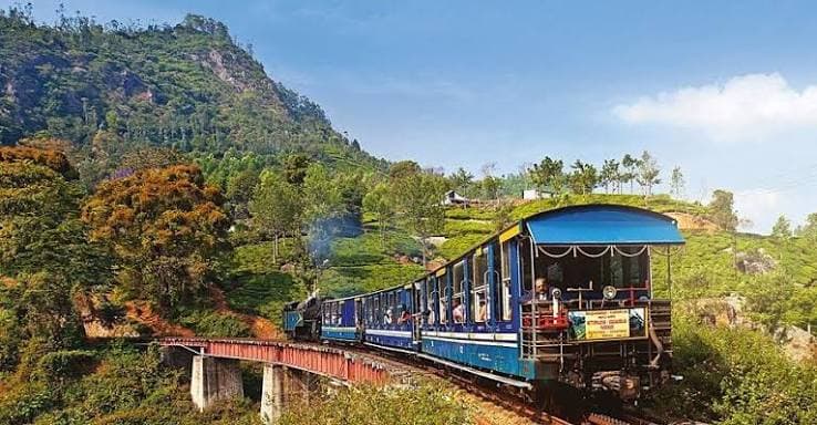 Darjeeling Tea Garden and Toy Train Trip
