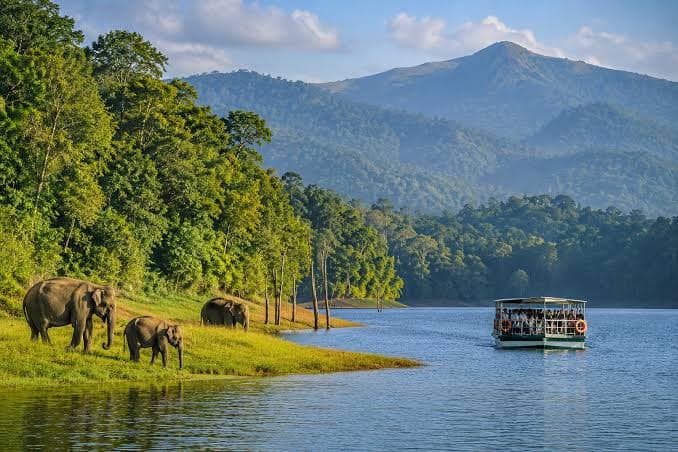 Kerala Classic — Munnar, Thekkady and Alleppey