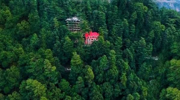 Shimla Snow Family Holiday