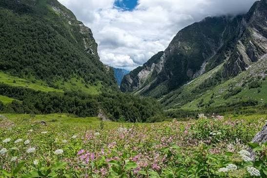 Valley of Flowers and Hemkund Sahib Trek