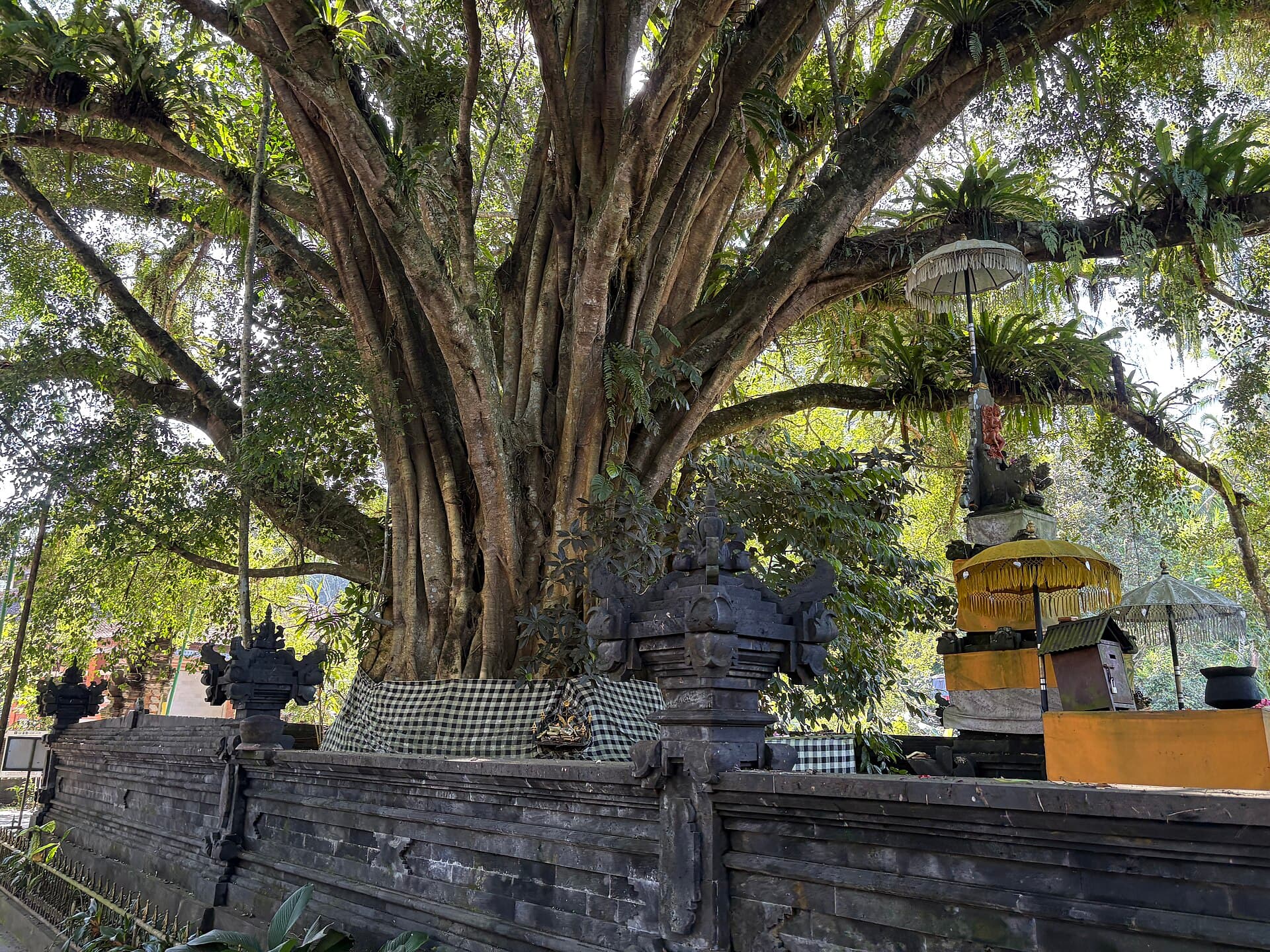 Bali Cultural Immersion — Ubud Deep Dive