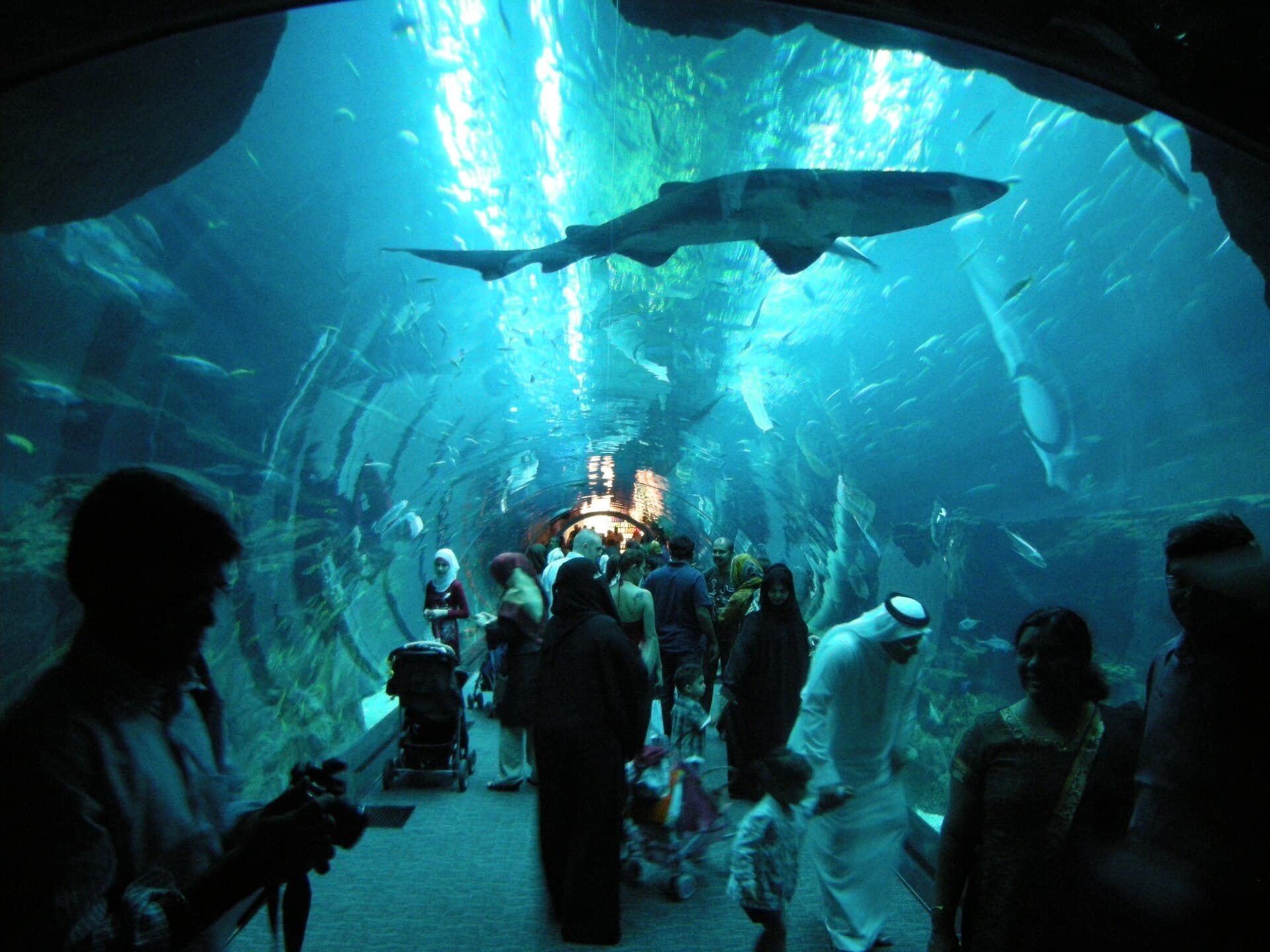 Dubai Family Thrills