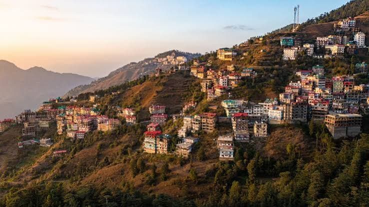 Shimla and Chail Nature Trip