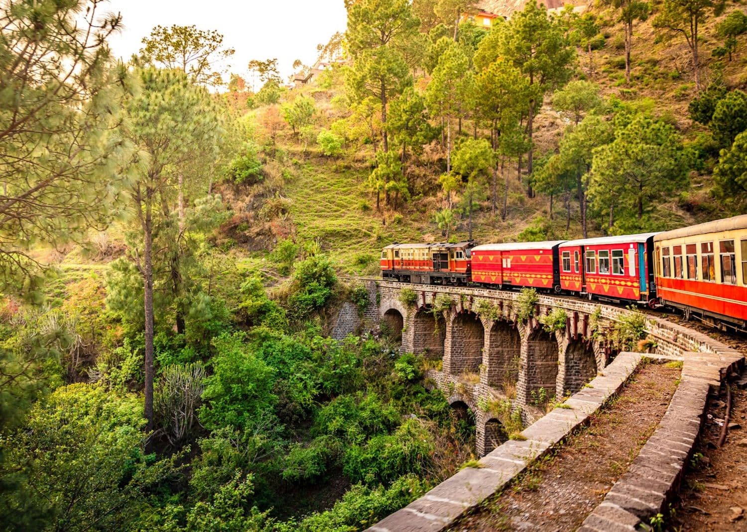 Shimla with Kalka Toy Train Family Tour