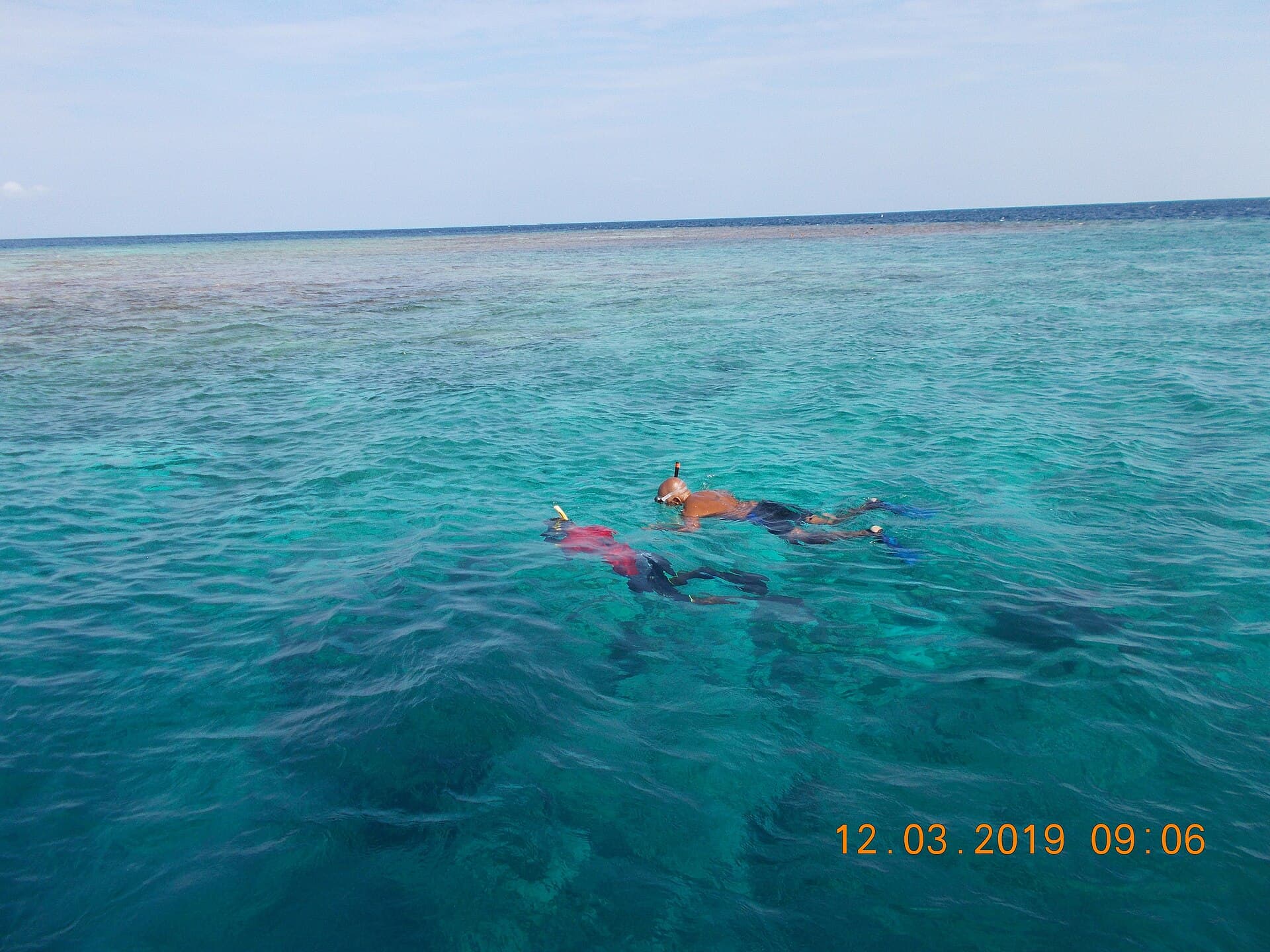 Maldives snorkeling reef fish